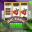 Big Cash Win