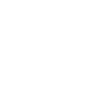 Cryptorino.io Casino Logo