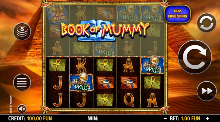 Book of Mummy (Octavian Gaming).jpg