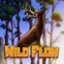 Wild Flow