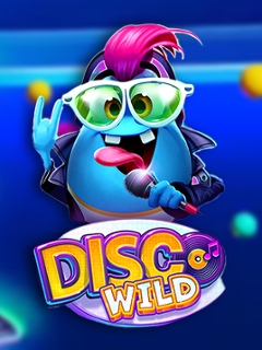 Disco Wild