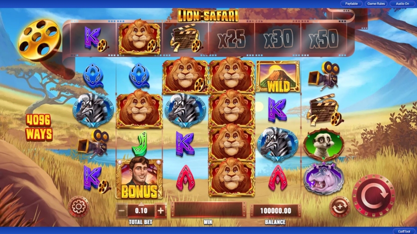 Lion Safari.jpg