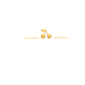 Cherry Gold Casino Logo