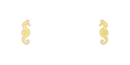 Spielbank Cruise