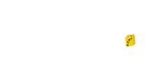 Danske Spil Casino Logo