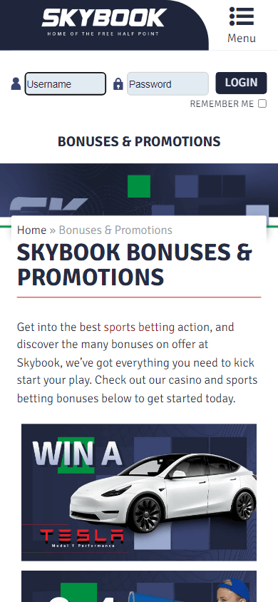 skybook_casino_promotions_mobile