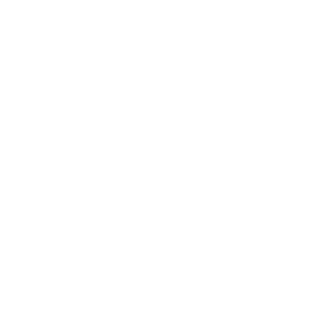 Dream Vegas Spielbank Logo