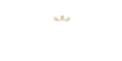 Exclusive Casino