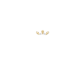 Exclusive Casino Logo