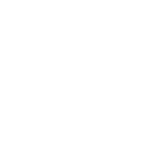 FastBet Casino Logo