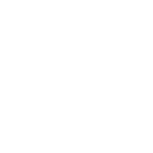 FastBet Casino Logo