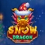 Snow Dragon