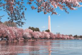 Washington, DC
