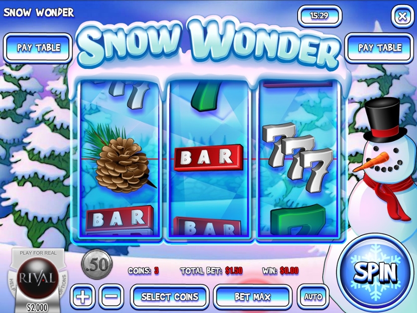 Snow Wonder.jpg