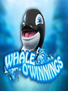 Whale o' Winnings
