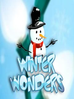 Winter Wonders
