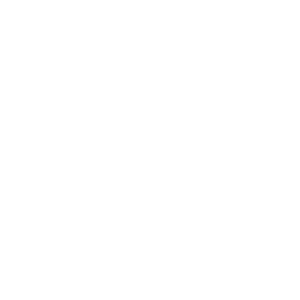 ホパカジノ Logo