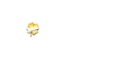 Irish Luck Casino