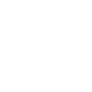 Leon Casino Logo