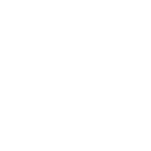 Live Bingo Casino Logo