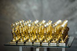 BSG Awards 2024