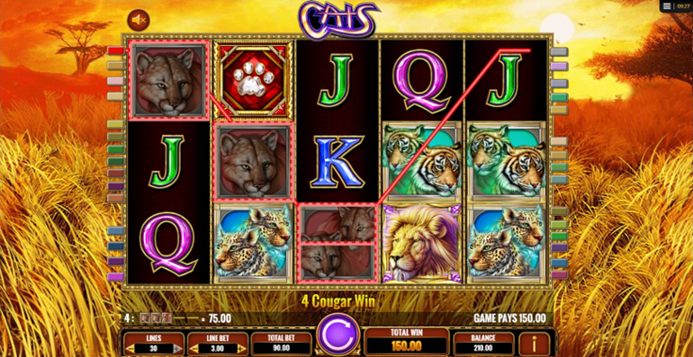 Cats slot base game win