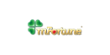 mFortune Casino