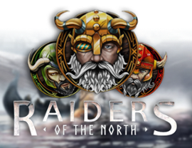 Raiders Of The North