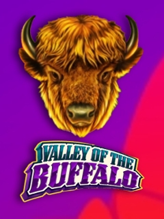 Valley of the Buffalo