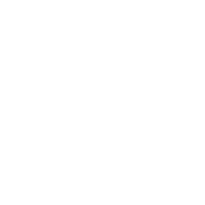 Nopeampi Casino Logo