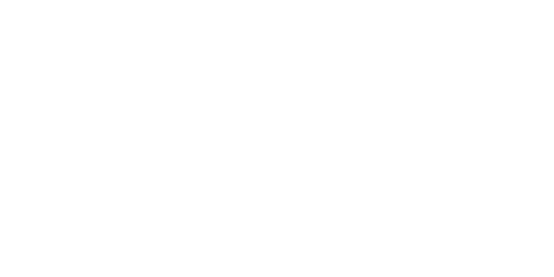 Nordicasino Logo