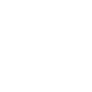 NYspins Casino Logo