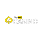 Playhub Casino Logo