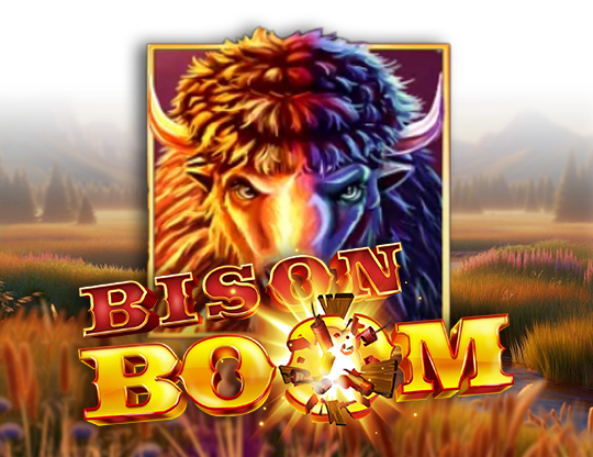 Bison Boom