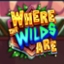 Where the Wilds
