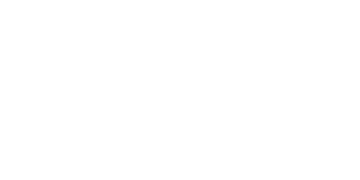 Punch Bets Casino Logo