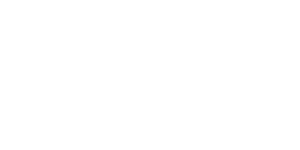 Punch Bets Casino Logo