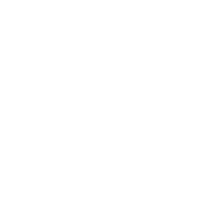 Punch Bets Casino Logo