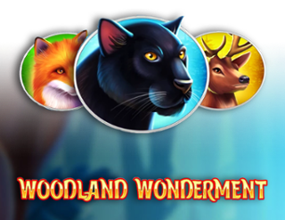 Woodland Wonderment