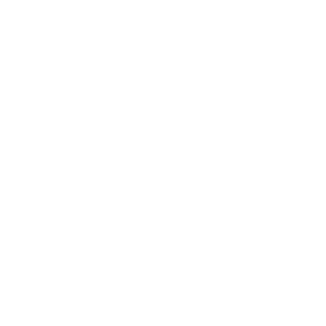 Slots Animal Casino Logo