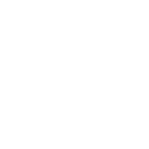 Spinland Casino Logo
