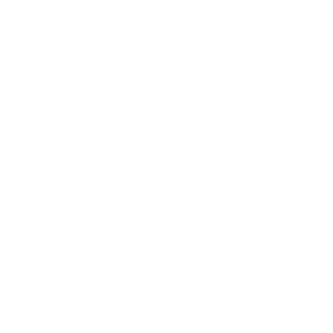 10Cric Casino Logo