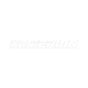 Immerion Casino Logo