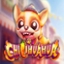 Chilihuahua