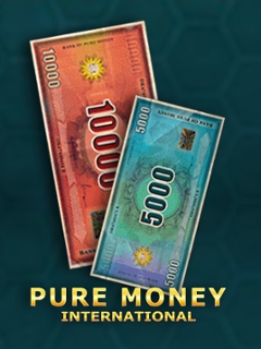 Pure Money International