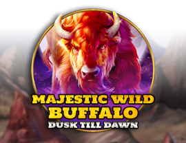 Majestic Wild Buffalo - Dusk Till Dawn