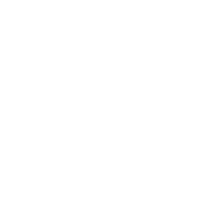 Tivoli Casino DK Logo