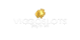 Viggoslots Casino