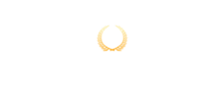 VIP Casino Logo