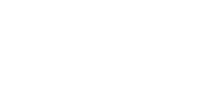 VIP Spins Casino logo